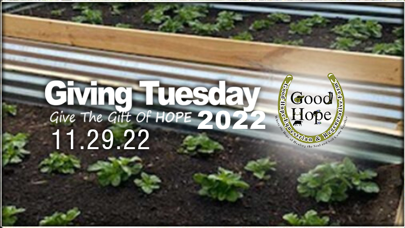 Giving Tuesday – Give the Gift of Hope