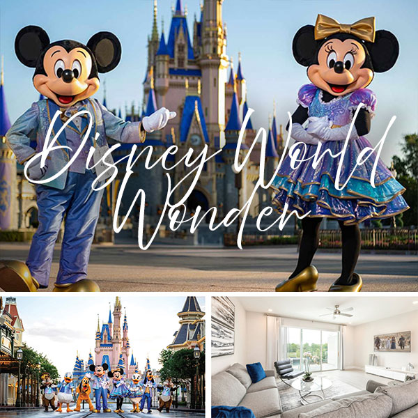 Disney World Wonder Package