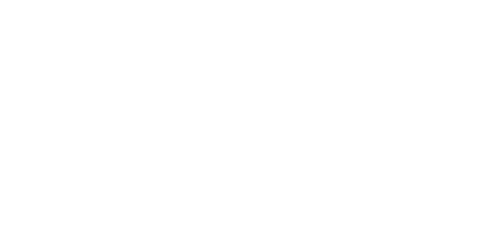FSI Foundation for Sustainability and innovation